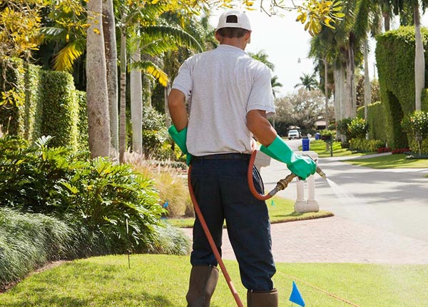 About Arizona City AZ Pest Control
